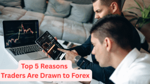 Top 5 Reasons Traders Are Drawn to Forex